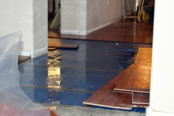 Professional Sewage Cleanup technician working in Upland, IN